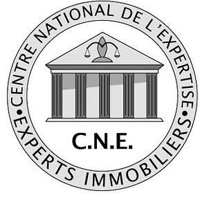 logo CNE